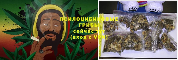 стафф Абинск