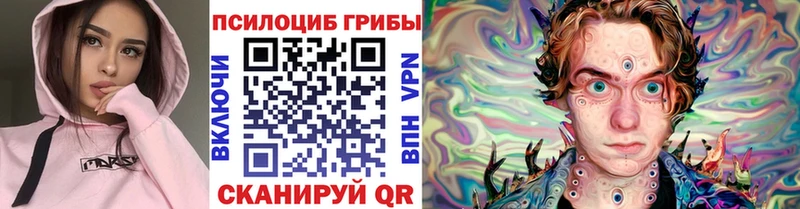 где купить наркоту  Приволжск  Галлюциногенные грибы Cubensis 